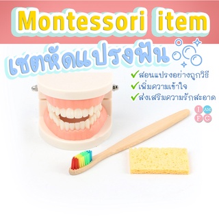 เซตหัดแปรงฟัน โมเดลสำหรับสอนแปรงฟัน สอนเด็กทำความสะอาด