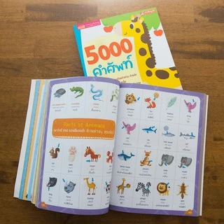 MISBOOK หนังสือสอนลูกเรียนรู้คำศัพท์ 5000 คำศัพท์
