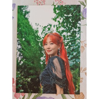 [แท้/พร้อมส่ง] โปสการ์ด ซูจอง Sujeong คอนเสิร์ต Lovelyz ONTACT Concert Deep Forest Postcard