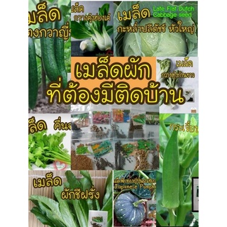 เมล็ดพันธุ์ผักสวนครัว ต้องมีติดบ้านช่วงโควิดเมล็ด opทั้งหมด