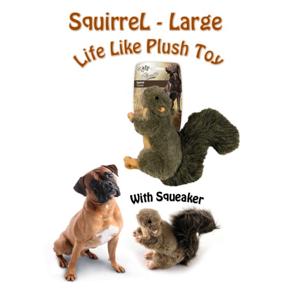 VP4021 SquirreL - L*