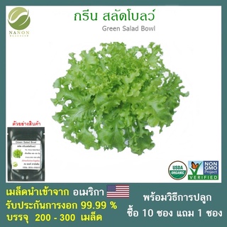 เมล็ดสลัด กรีนสลัดโบลว์ จำนวน 200-300 เมล็ด