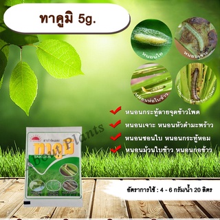 ทาคูมิ 5g. ฟลูเบนไดอะไมด์ สารกำจัดแมลง หนอนใย หนอนชอนใบ หนอนกระทู้ลายจุดข้าวโพด หนอนเจาะ กำจัดหนอน allaboutplants