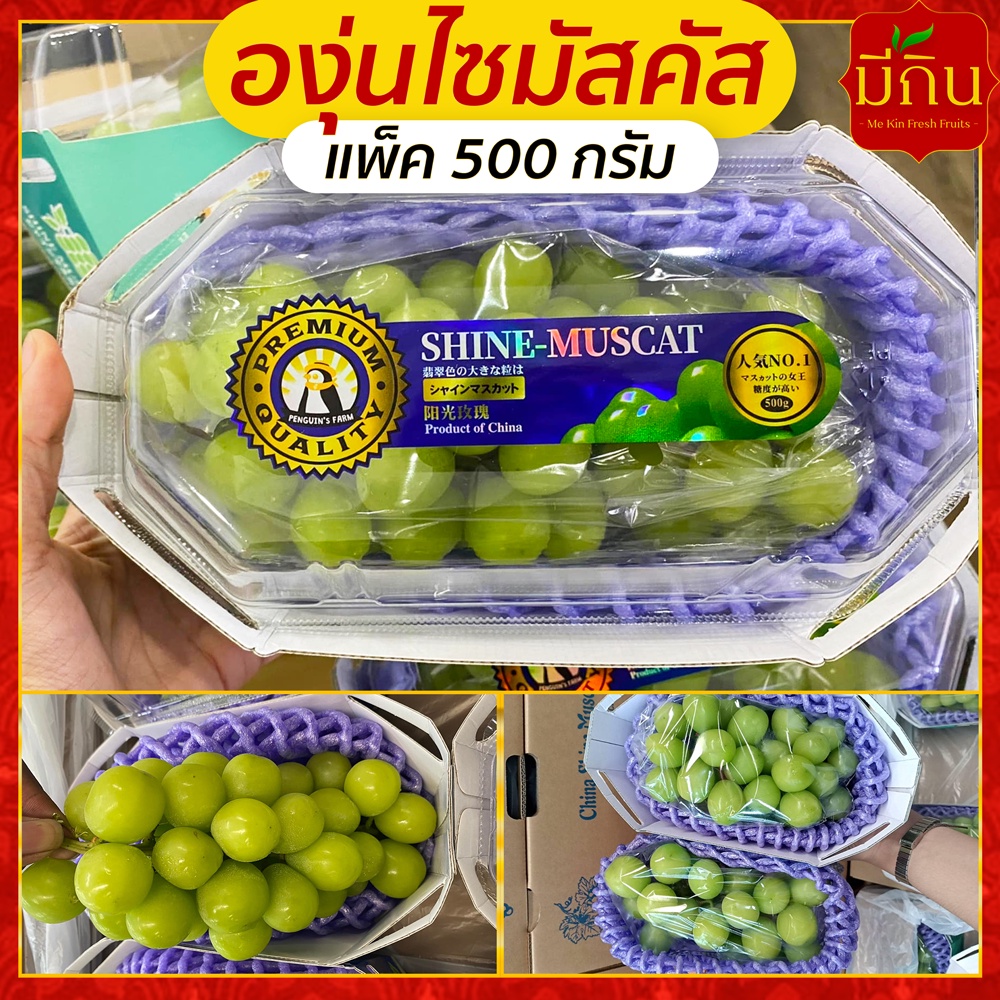 องุ่นเขียว ไซมัสคัส แพ็ค 500 กรัม  | ส่งรถเย็นควบคุมอุณภูมิ | มีกิน ผลไม้สด