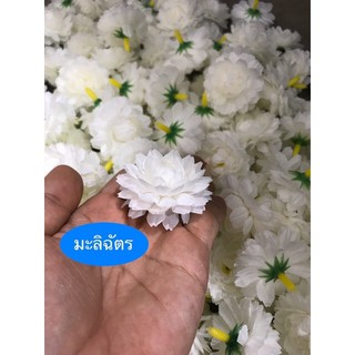 หัวดอกมะลิสโนว์ หัวดอกมะลิฉัตร