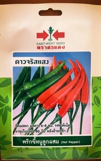 เมล็ดผักศรแดง เจียไต๋ ตะวันต้นกล้าชุดที่3 🌶🍆🍅เมล็ดพริกมะเขือ🌶🍅🍆 พริกขี้หนู พริกยอดสน พริกชี้ฟ้า พริ พริกหนุ่ม ซอง 10 บาท