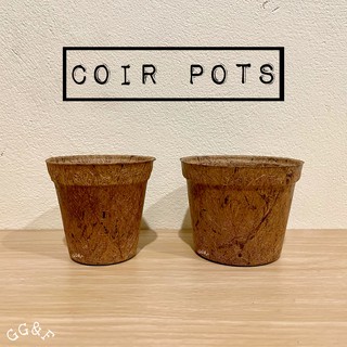 Coir Pots 🥥🌴🪴 กระถางใยมะพร้าว [L,XL]