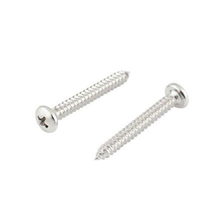 อุปกรณ์ยึดติด สกรูเกลียวปล่อย TP 10X1-1/2 นิ้ว 25 ตัว Screws, Nuts &amp; Washers