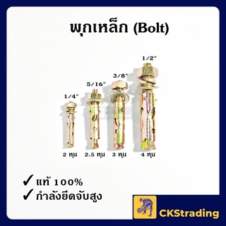 [ของแท้💯] พุกเหล็ก พุ๊กเหล็ก 2/2.5/3/4 หุน (Bolt)