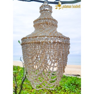 Andaman seashell โมบายแชนเดอเรียเปลือกหอย ทรงโดม หอยนาซา 10"x20"