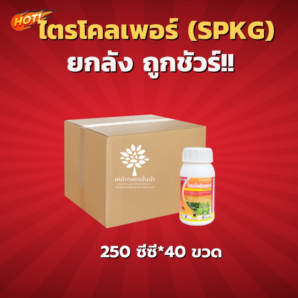 ไตรโคลเพอร์ (SPKG)- ยกลัง- ( ขนาด 250 ซีซี*40 ขวด ) = ชิ้นละ 170 บาท