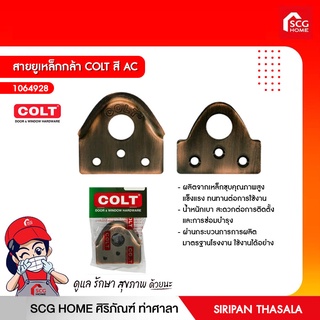 สายยูเหล็กกล้า COLT สี AC