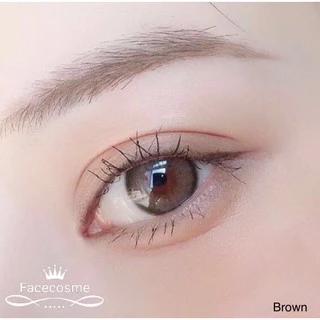 💖 Kitty kawaii ๑ mini Olivia ( Mavia ) Brown Light brown สายตา -00 ถึง -1000 Contactlens คอนแทคเลนส์