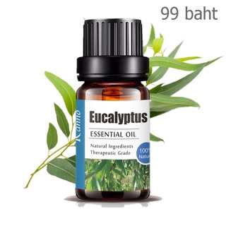 Aliztar 100% Pure Eucalyptus Essential Oil 10 มิล.น้ำมันหอมระเหยยูคาลิปตัสแท้ อโรมาเทอราพี เตาอโรมา เครื่องพ่นไอน้ำ ผ...