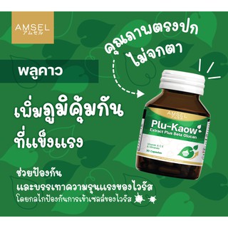 Amsel Plu-kaow Extract Plus Beta Glucan แอมเซล  อาหารเสริมภูมิคุ้มกัน ต้านไวรัส เสริมภูมิคุ้มกันของร่างกาย 30 แคปซูล