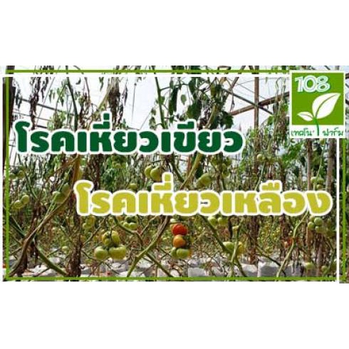 แคปแทน 50 หัววัว ขนาด 1 กก 💥 แคปทาไซด์ แคปแทน แคปทาไซด์ 50 สารป้องกันเชื้อรา ยากันรา พร้อมส่งจ้า - รูปที่ 4