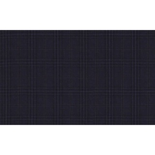 Elegant Fine &amp; Dandy/59500 Col.2 Luiciano Brand Jacketing Fabrics Check Pattern 595052