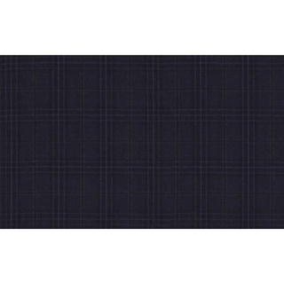 Elegant Fine &amp; Dandy/59500 Col.2 Luiciano Brand Jacketing Fabrics Check Pattern 595052