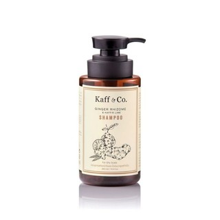 Kaff&amp;Co.Ginger Rgizome &amp; Kaffir Lime Shampoo (Oily Scalp) แชมพูสารสกัดเหง้าขิง และ น้ำมันมะกรูดสกัด