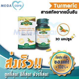 Springmate Turmeric 450mg สปริงเมท สารสกัดจากขมิ้นชัน 30 แคปซูล