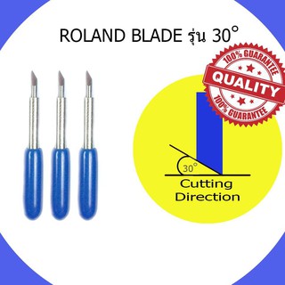 ใบมีดตัดสติ๊กเกอร์ ROLAND BLADE จำนวน 1 กล่อง มี 3 ใบ ขนาด 30 องศา(เงิน)