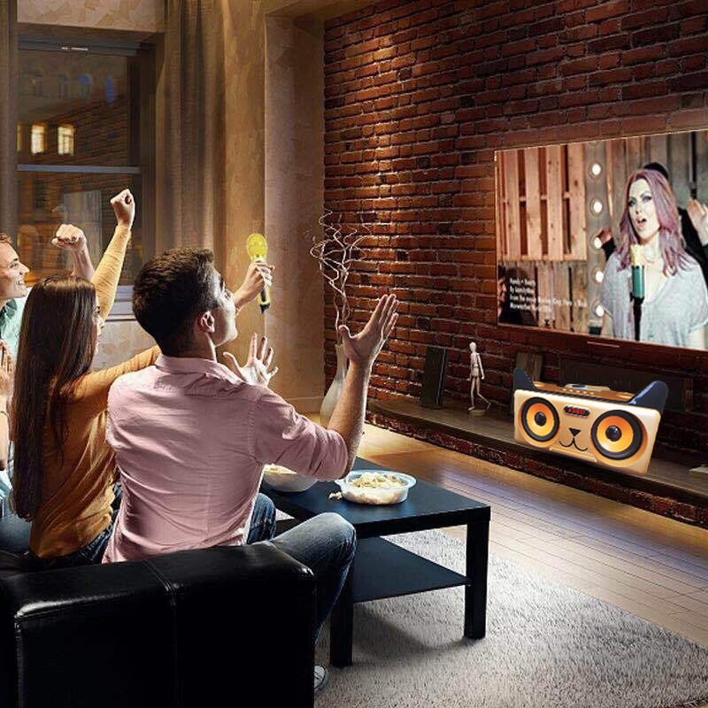 Dual Microphone Wireless Bluetooth Karaoke Portable 3D Stereo Speaker ...