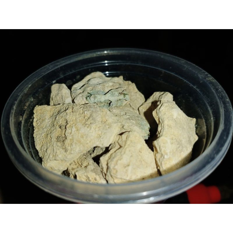 หินปูน แคลเซียมชั้นดี สำหรับน้อง Isopod