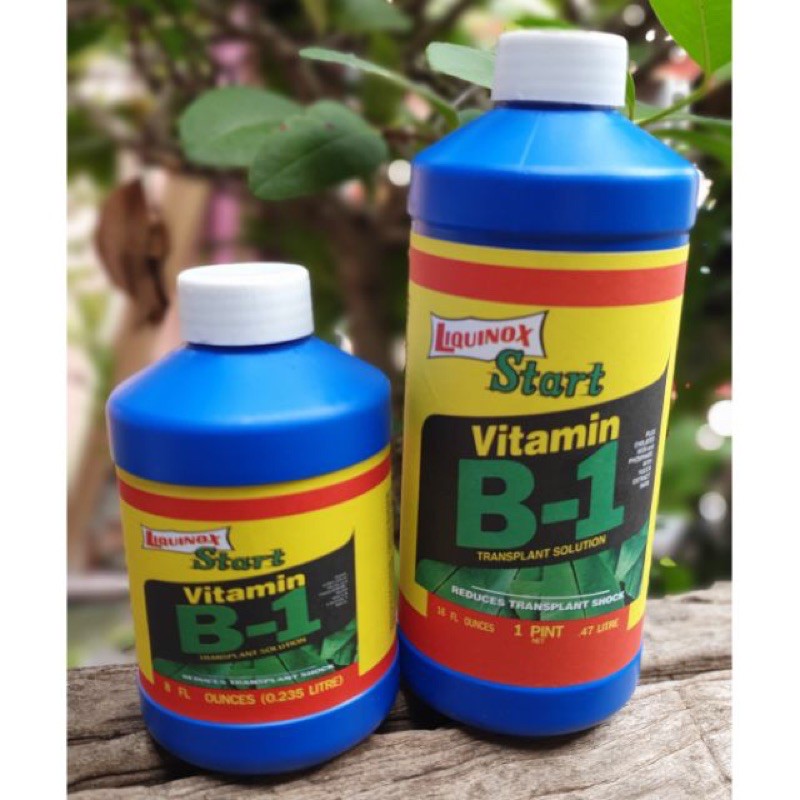 วิตามินบำรุงราก B-1 นอก USA