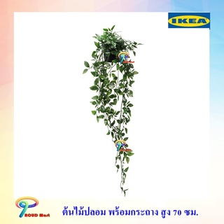 IKEA ไม้ประดิษฐ์ ต้นไม้ปลอม ไม้ประดิษฐ์ในกระถาง, ใน/นอกอาคาร, เครื่องแขวน, สูง 70 ซม.