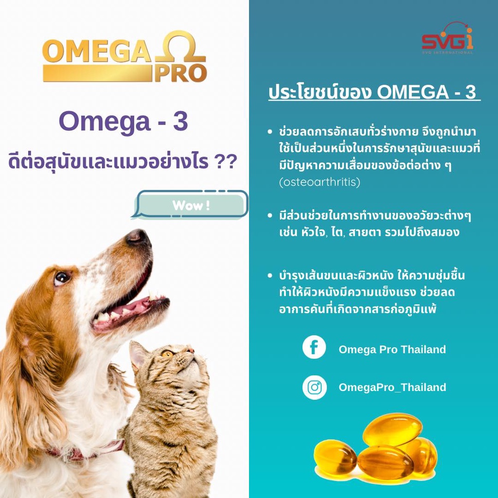 (ของแท้) Omega Pro โอเมก้า โปร อาหารเสริมน้ำมันปลาสำหรับสัตว์เลี้ยง แบบ ...