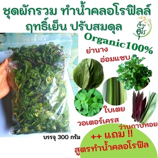 ชุดผักรวม ทำน้ำคลอโรฟิลล์ Organic100% 300กรัม สด คัดพิเศษ เกรดA คุณภาพ ไร้สารเคมี สมุนไพร ฤทธิ์เย็น ออแกนิค น้ำคลอโรฟิล