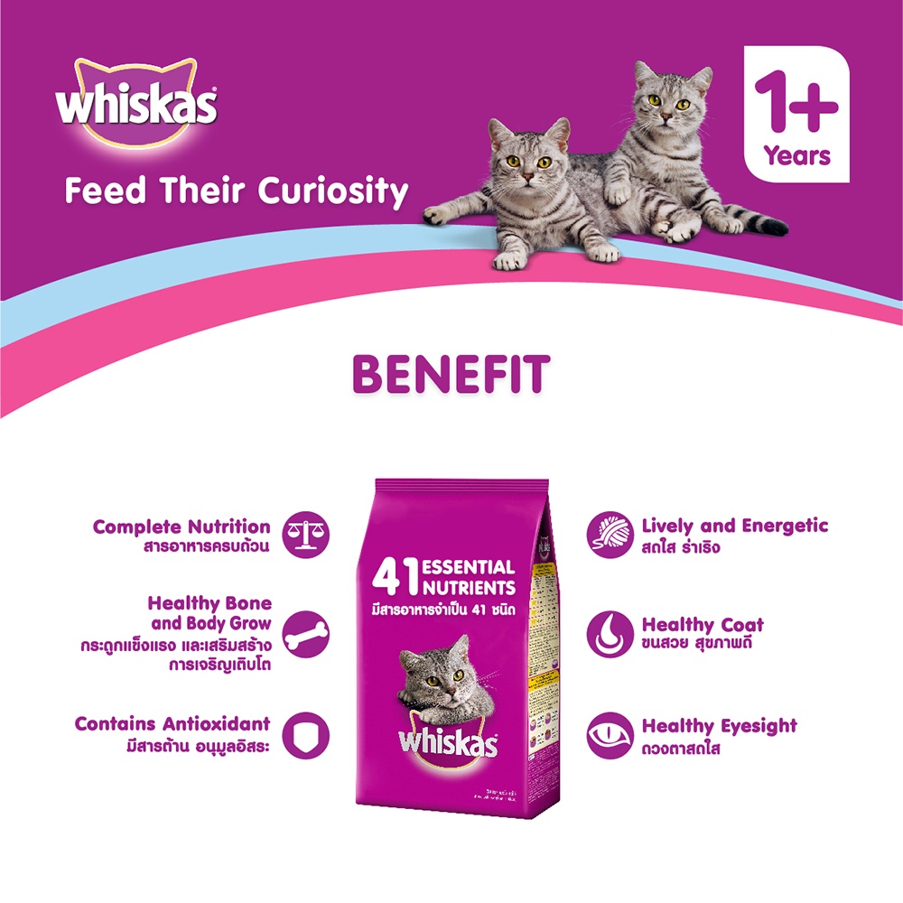 WHISKAS DRY CAT FOOD DRY POCKETS ADULT GOURMET SEAFOOD FLAVOUR 3 kg วิสกัส อาหารแมวชนิดแห้ง แบบ