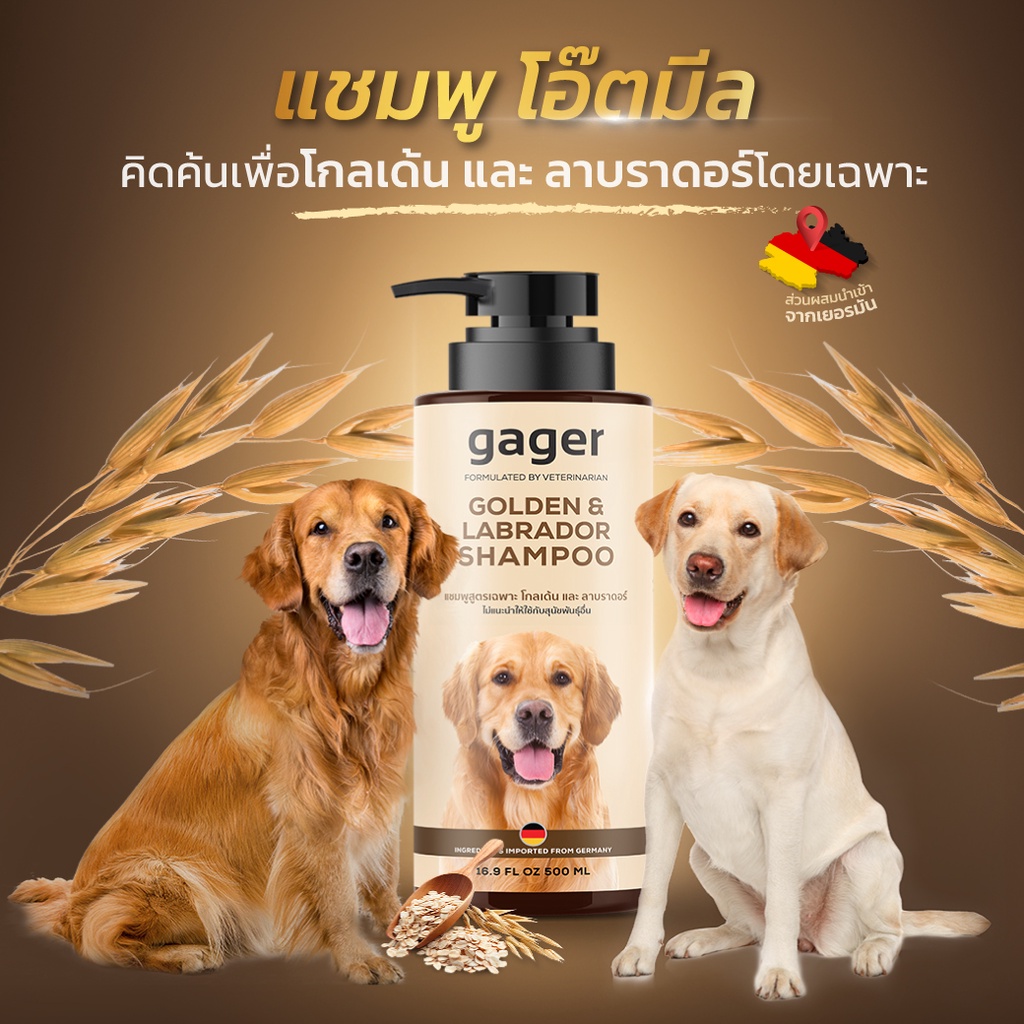 Gager(500ml.)แชมพูสุนัข สูตรโอ๊ตมีลOATMEAL สำหรับโกลเด้น&ลาบราดอร์ ช่วยบรรเทาอาการคันและกำจัดรังแค อ