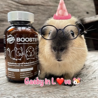 Master Premium Booster+ 🐹➕ มาสเตอร์พรีเมี่ยม บูสเตอร์พลัส สำหรับหนูแกสบี้และสัตว์ฟันแทะ