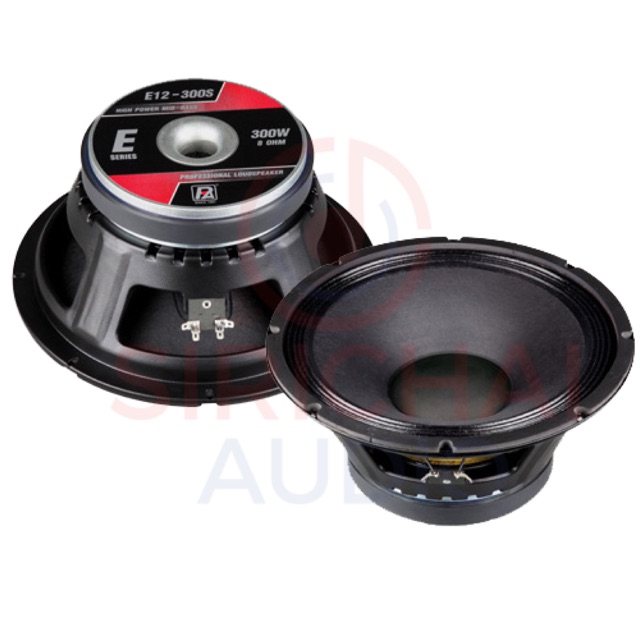 P.AUDIO รุ่น E12-300S