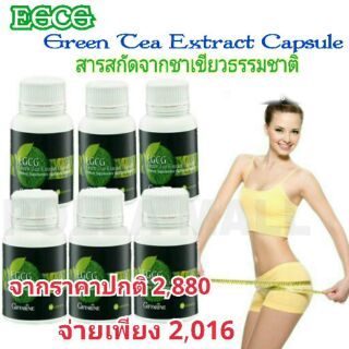 ลดน้ำหนัก  ทลายพุง EGCG Green Tea Extract Capsule สารสกัดจากชาเขียว ชนิดแคปซูล กิฟฟารีน