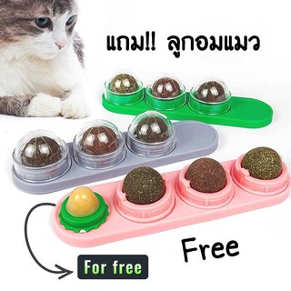 set-catnip-ball/ขนมแมว ขนมแมวเลีย