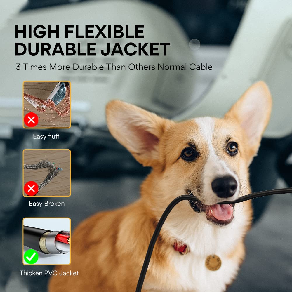 รูปภาพ 8