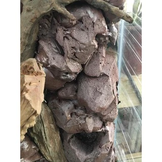 (พร้อมส่ง) สเปรย์โฟมทำหินเทียม สเปรย์สร้างหินเทียม