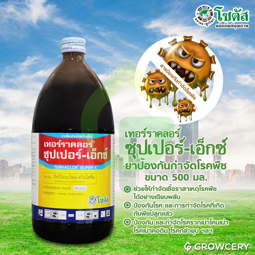 [G] เทอร์ราคลอร์ ซุปเปอร์ เอ็กซ์ สารป้องกันกำจัดโรคพืช 500 มล. โซตัส (ป้องกัน และกำจัดโรครากเน่าโคนเน่า) โดย MontreeMore