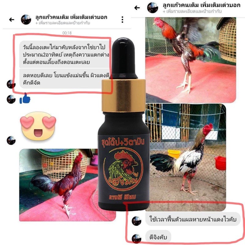 วิตามินไก่ชนทั้งโด๊ปทั้งเลี้ยง