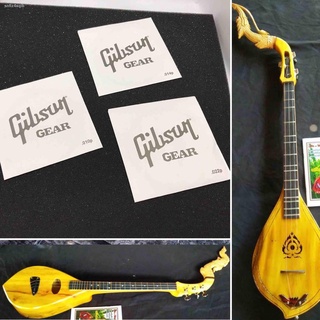 สายพิณ สายพิณโปร่ง 3สาย Gibson