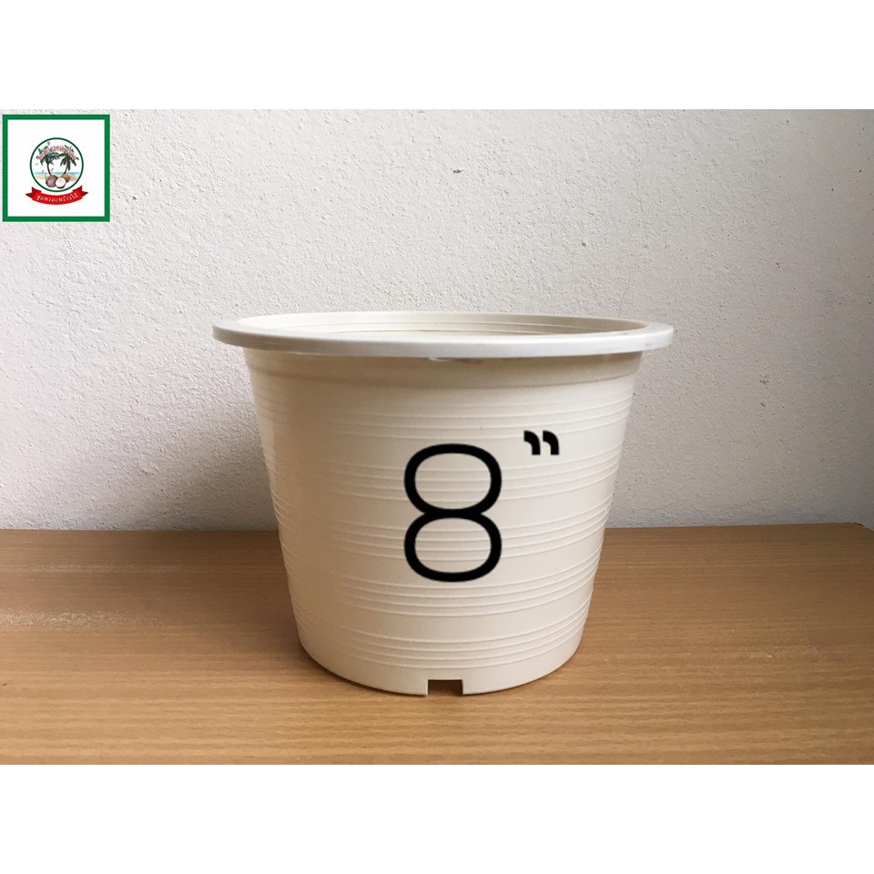 กระถางต้นไม้สีขาว/กระถางต้นไม้พลาสติกสีขาว/White flower pot/Plant pot  8 inch