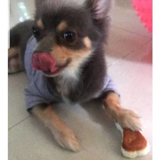 Dogfin (ด็อกฟิน) ครั้นชี่หน้าไก่อบ 3.5 นิ้ว สำหรับสุนัขทุกสายพันธุ์
