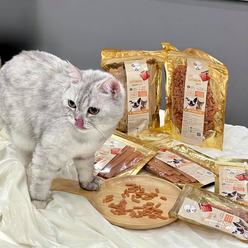 Get Well มินิ แซลมอนอบนิ่ม ขนมหมา ขนมแมว ไม่ปรุงรส แพ้ไก่ แพ้กลูเตน แพ้แป้ง กินได้ รูปที่ 7