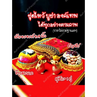 ❌ได้ทุกอย่างครบตามภาพ❌ ชุดถวายองค์เทพ ชุดถวายพระพิฆเนศ ผ้ารององค์  9x9 นิ้ว มุสิกะ 1 คู่ ข้าวมงคล ธัญพืช