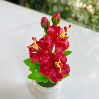 **พร้อมส่ง** ดอกชบาจิ๋ว ดอกชบาแดง ดอกชบาถวายพระพิฆเนศ **กระถางละ 50 บาทเท่านั้น !! **