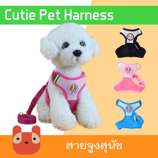 Petaholic สายจูงสุนัข แมว (AB02) สายจูงสัตว์เลี้ยง สายจูงหมา สายรัดอกสุนัข Pet Harness