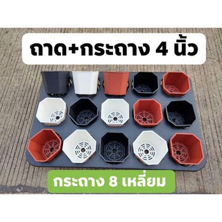 ชุดถาดพร้อมกระถางขนาด4นิ้ว