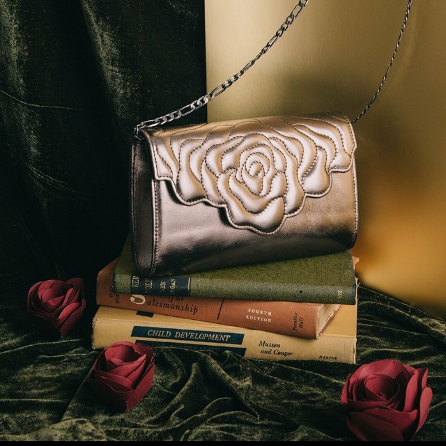 ARISTOTLE Clutch with chain